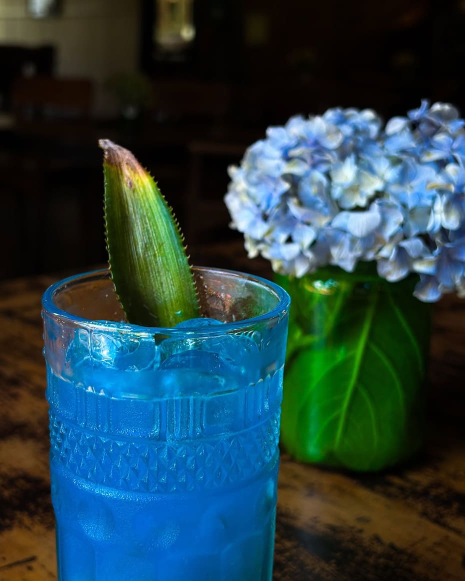Drink autoral servido no bar