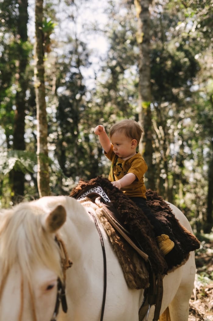 Criança conhecendo o cavalo