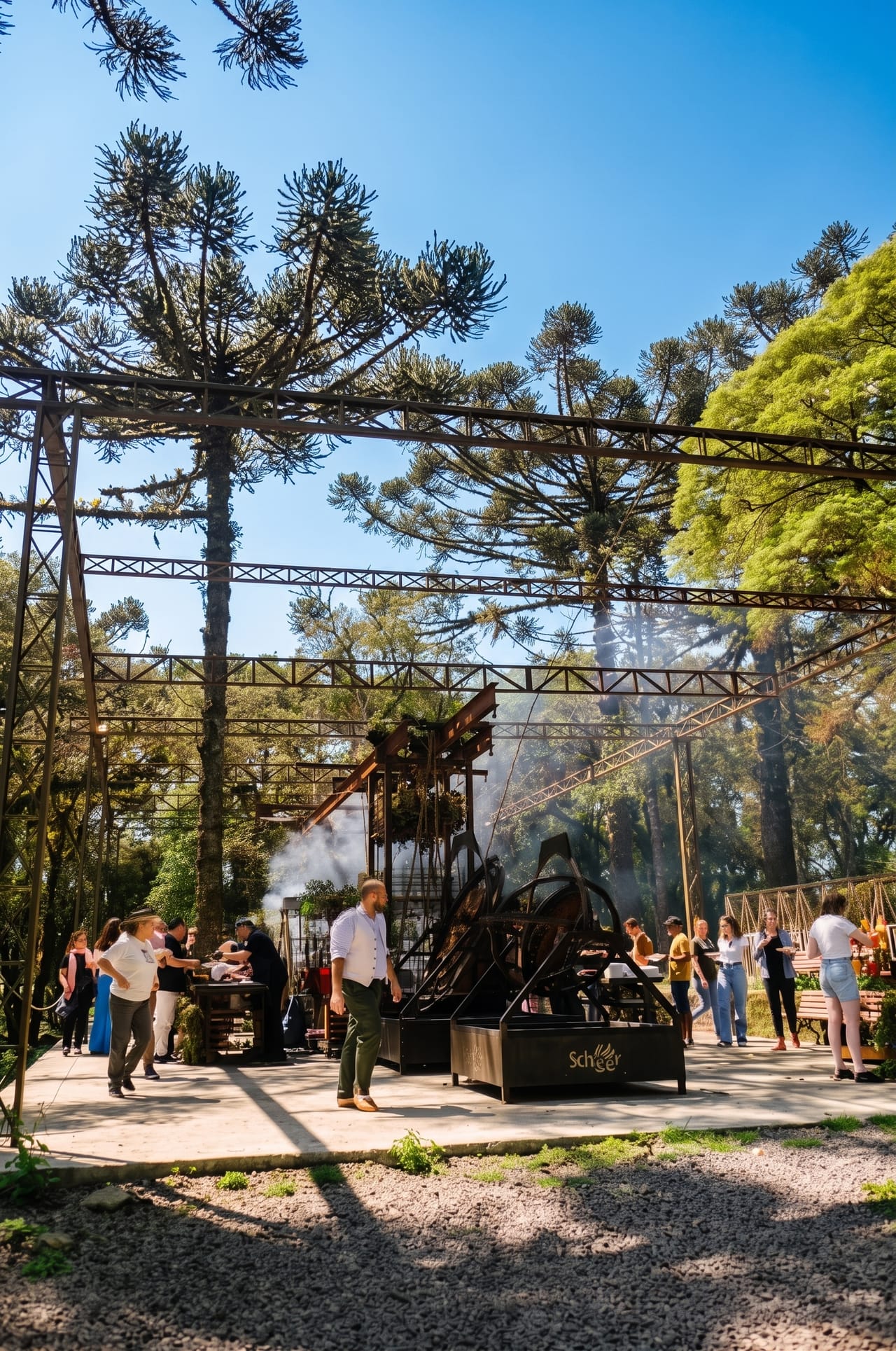 A estrutura de aço erguida dentro do araucarial