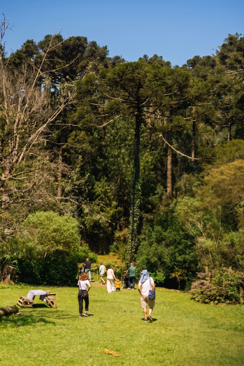 Famílias caminhando pelo gramado até as ilhas