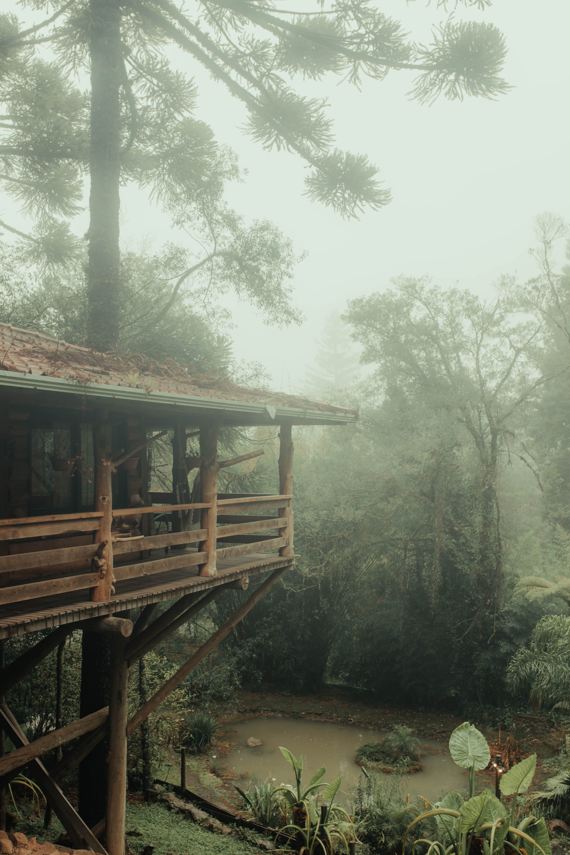 A cabana suspensa na neblina da manhã