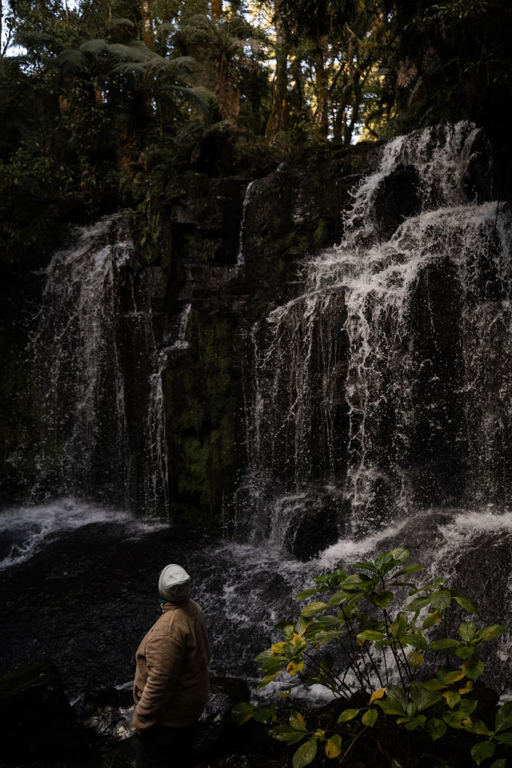 Diante da cachoeira, na mata fechada